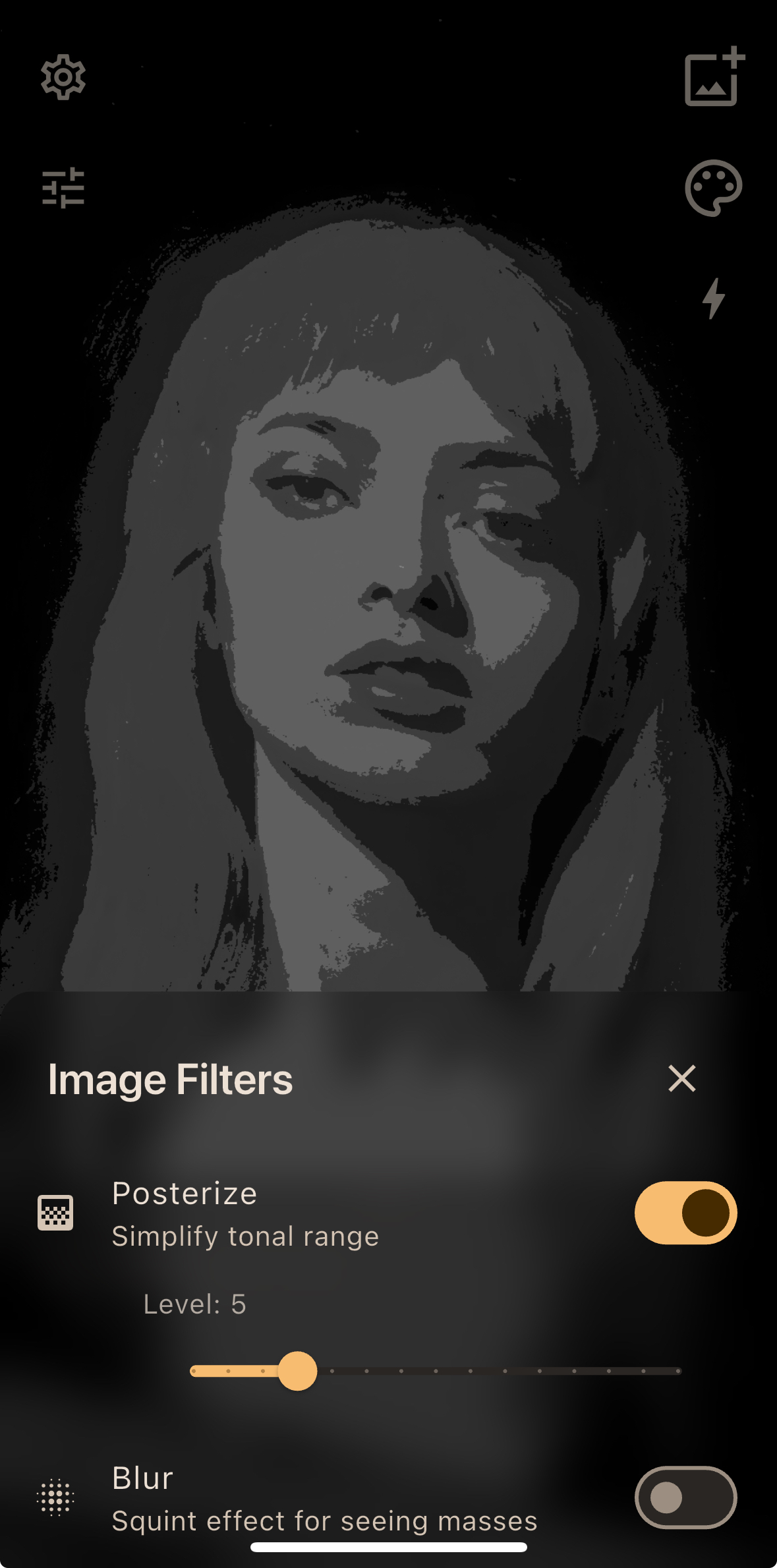 Posterize filter for value studies